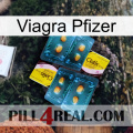 Viagra Pfizer cialis5